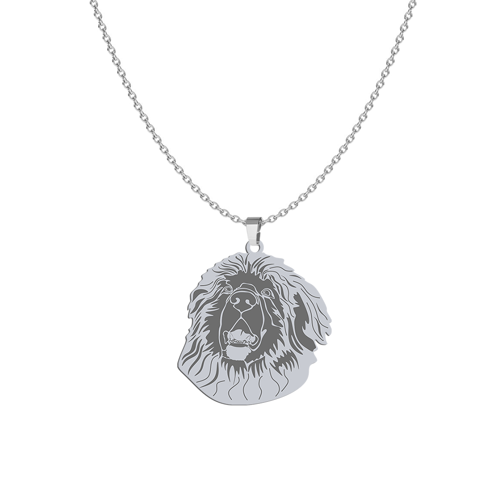 Naszyjnik z grawerem psem Leonberger srebro - MEJK Jewellery