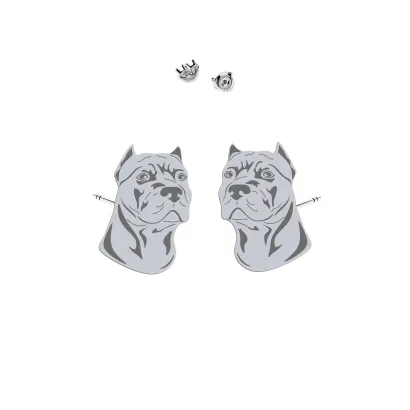 Silver American Pitbull Terrier earrings - MEJK Jewellery