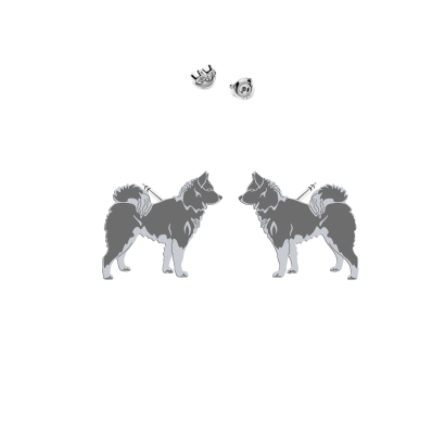 Kolczyki z psem Karelian Bear Dog srebro - MEJK Jewellery