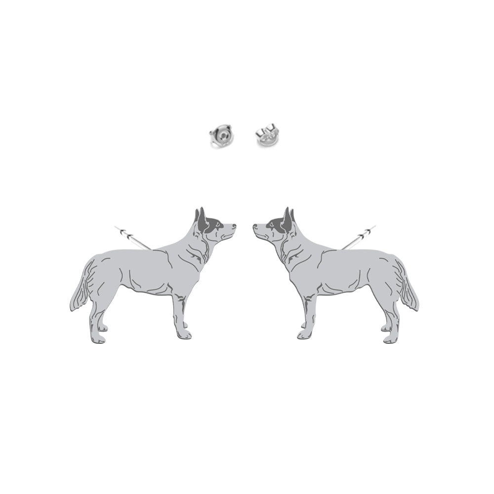 Kolczyki Australijski Pies Pasterski srebro - MEJK Jewellery