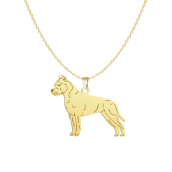 Naszyjnik Pozłacany z psem American Staffordshire Terrier GRAWER GRATIS - MEJK Jewellery