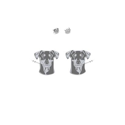 Silver German Pinscher earrings - MEJK Jewellery